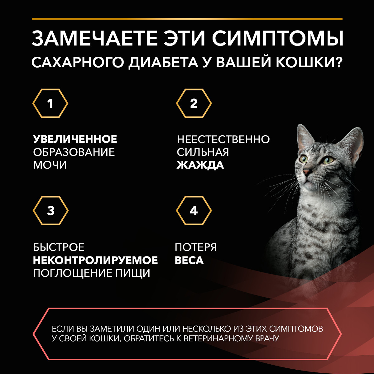 Корм для кошек PRO PLAN Veterinary Diets с курицей при диабете пауч 85г - фото 7