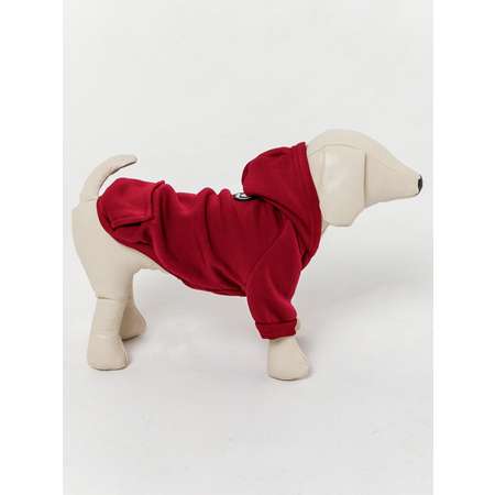 Толстовка для собак PIFPAF DOG