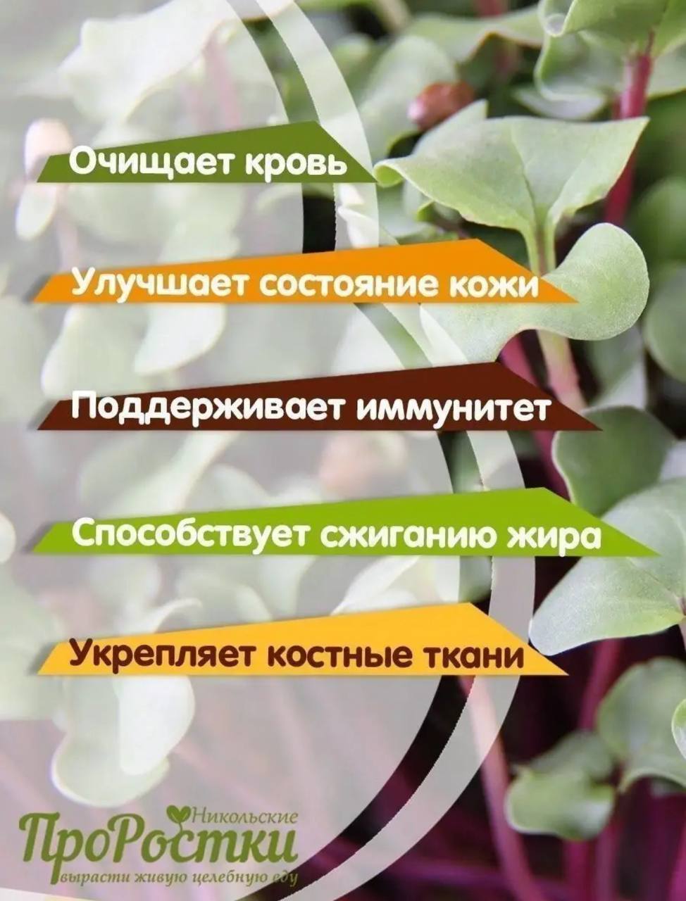 Семена для микрозелени MegaMedia редис - фото 4