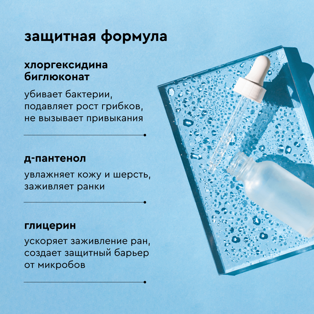 Шампунь для собак и кошек Pamilee с хлоргексидином антибактериальный против зуда и запаха - фото 2