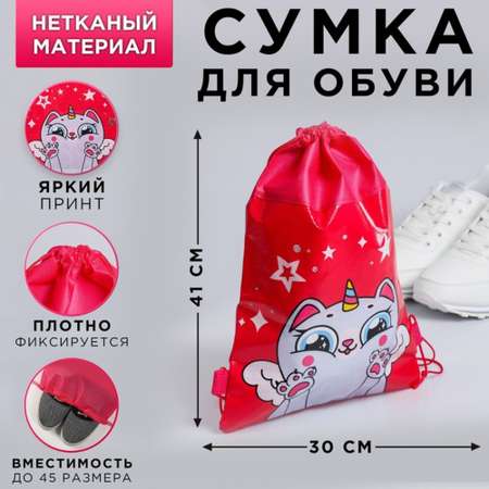 Мешок для обуви ArtFox Единокот