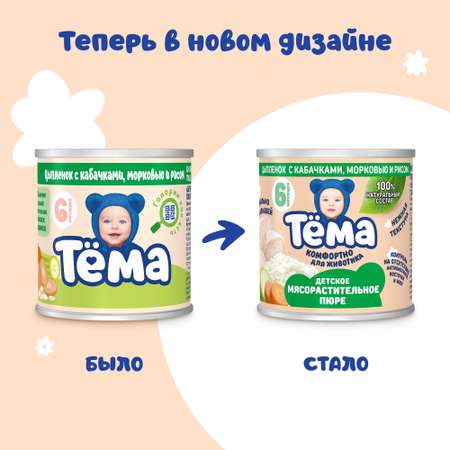 Пюре Тёма Цыпленок-кабачок-морковь-рис с 6 мес 90 г