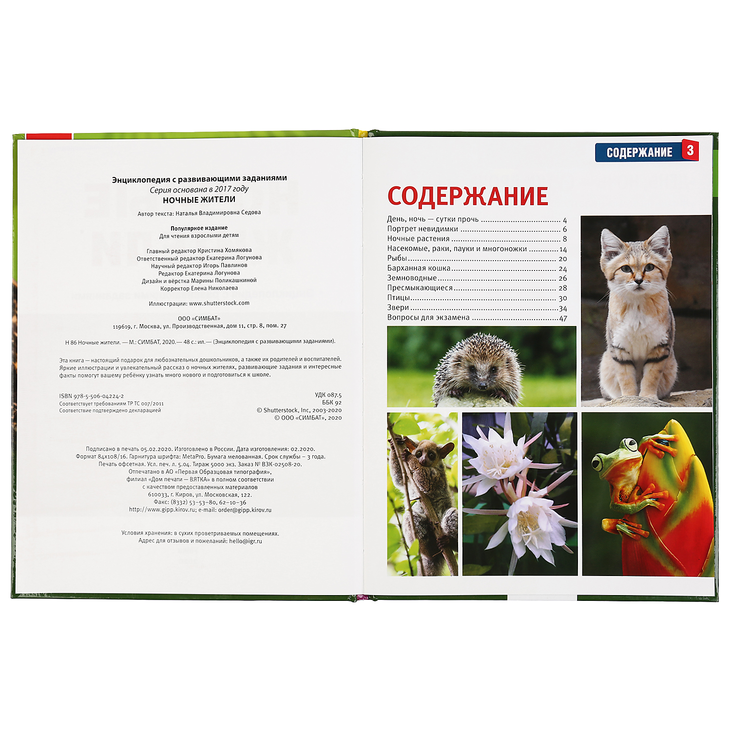 Книга УМка Ночные жители - фото 2
