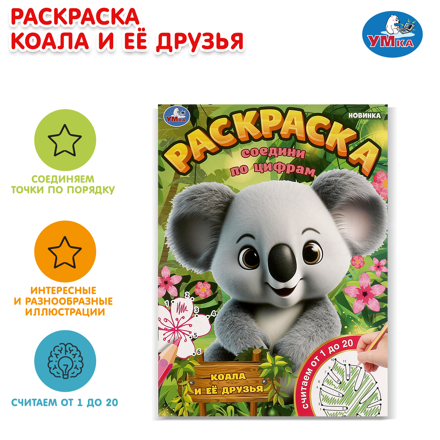 Раскраска УМка Коала и её друзья - фото 1