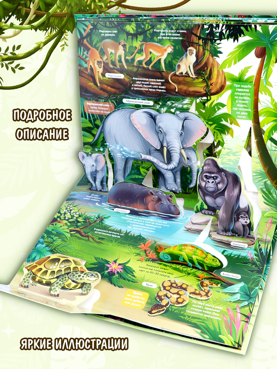 Энциклопедия Malamalama Животные Джунгли - фото 2