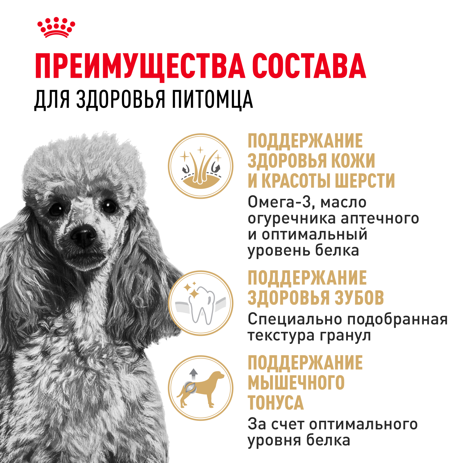 Корм для собак ROYAL CANIN Poodle Adult Пудель Эдалт сухой для взрослых собак породы пудель 1.5кг - фото 3