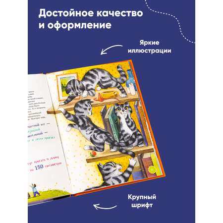 Книга Альпина. Дети Я кот
