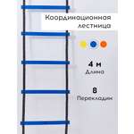 Активная игра FN Sport Ladders Blue 4m