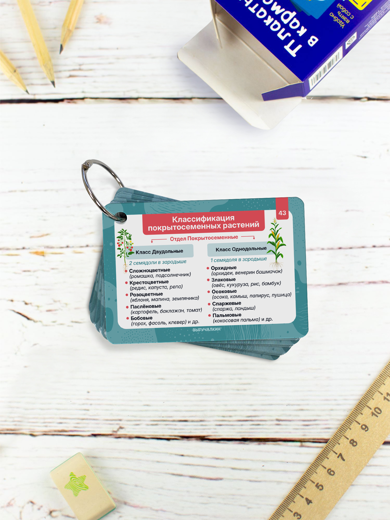 Карточки Выручалкин «Биология» 7 класс - фото 4