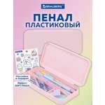 Пенал футляр Brauberg
