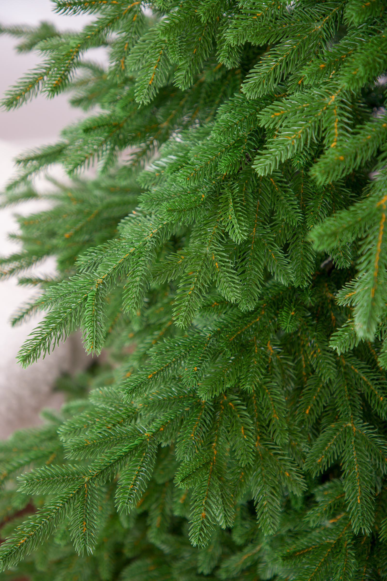 Ель Монарх Империя Ёлок 240 см - фото 4