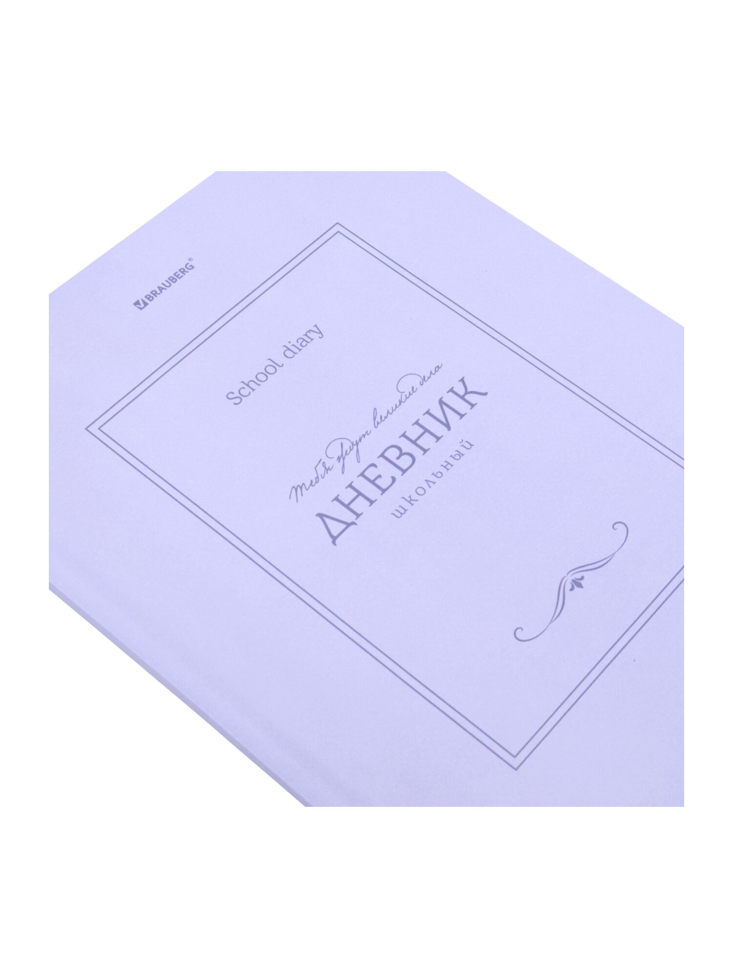Дневник школьный Brauberg для девочек мальчика 1-11 класс твердый 40 листов - фото 4