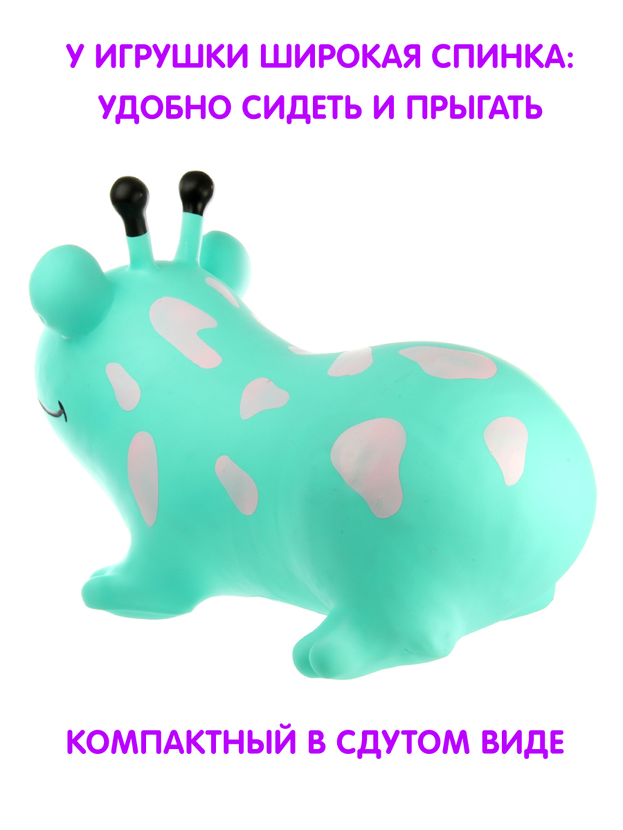 Фитбол Veld Co - фото 5