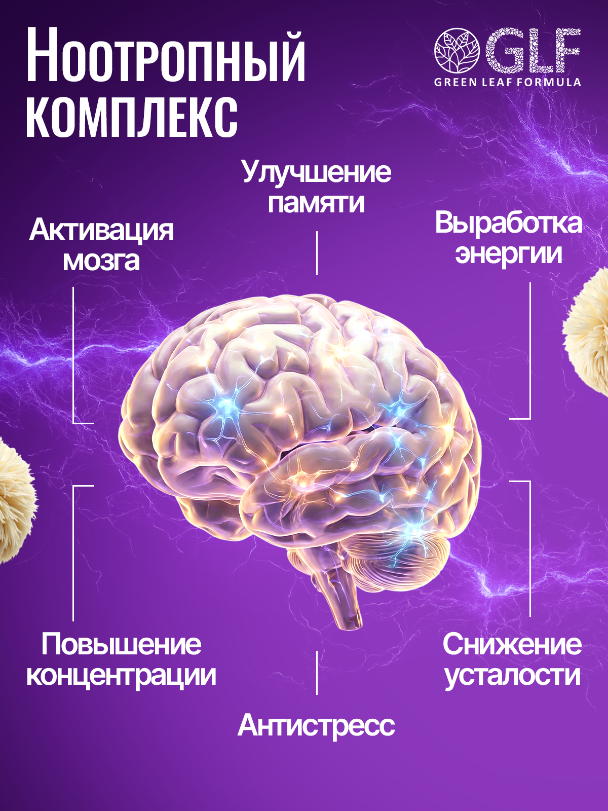Ноотроп комплекс ежовик гребенчатый Green Leaf Formula витаминный комплекс для мозга памяти - фото 3