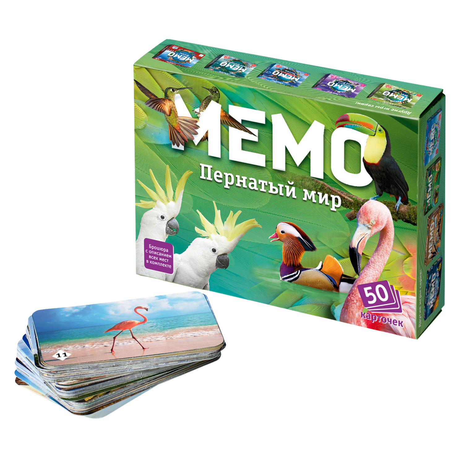 Настольная игра Нескучные игры Пернатый мир - фото 1
