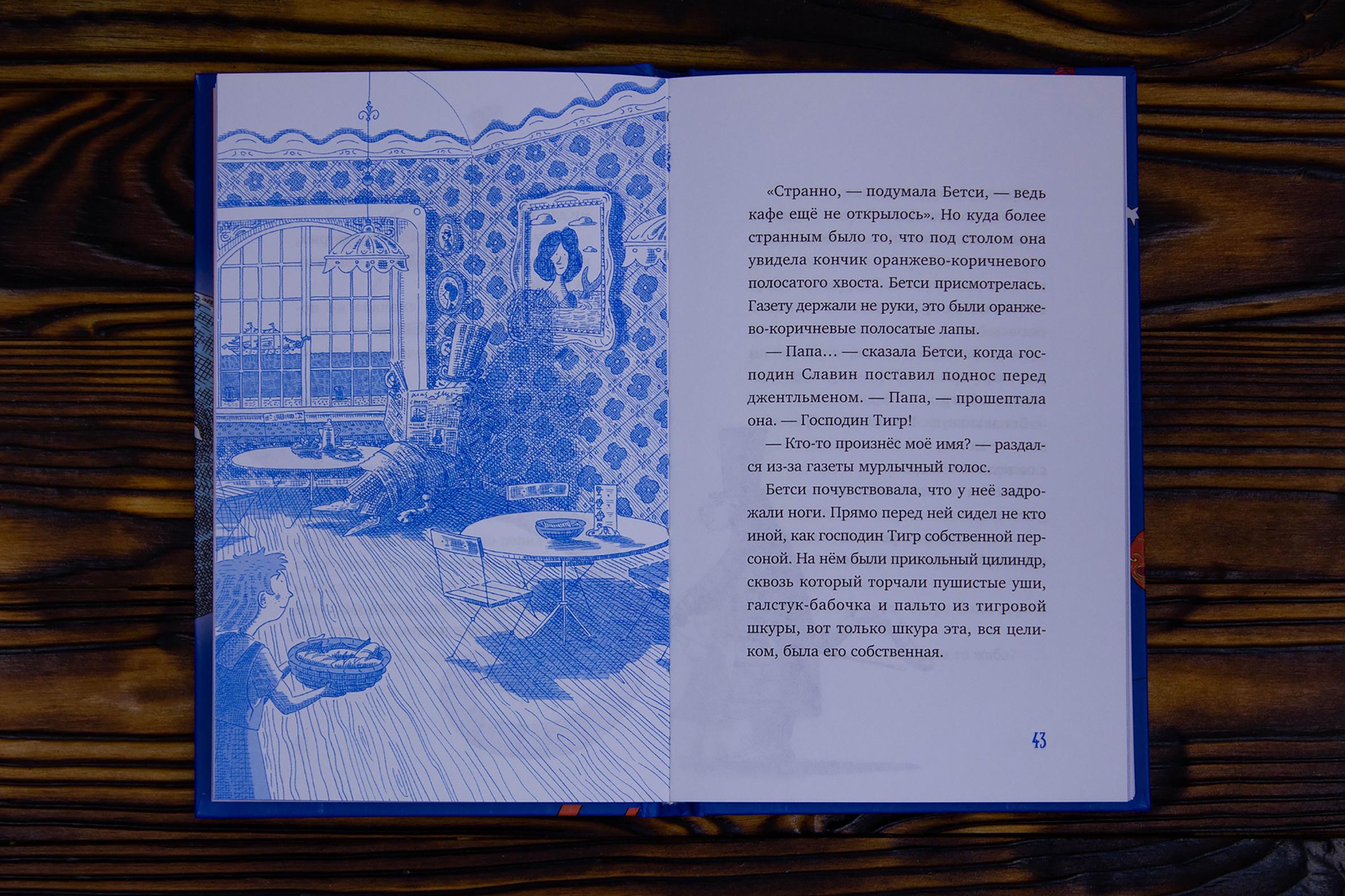 Книга Качели Господин Тигр Бетси и Посиневшая Луна - фото 3