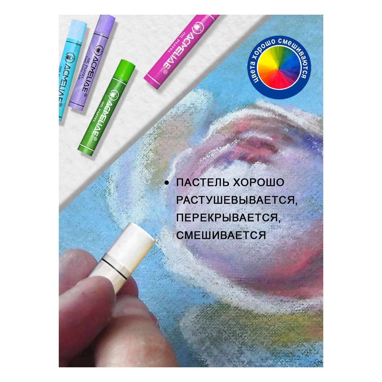 Пастель масляная ACMELIAE 36 шт. - фото 8