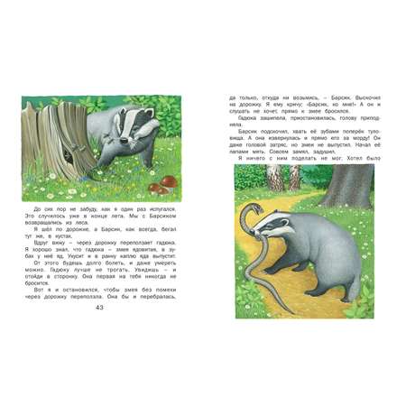 Книга Русич Скребицкий. Рассказы для детей