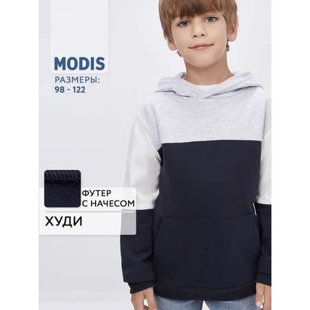 Худи MODIS