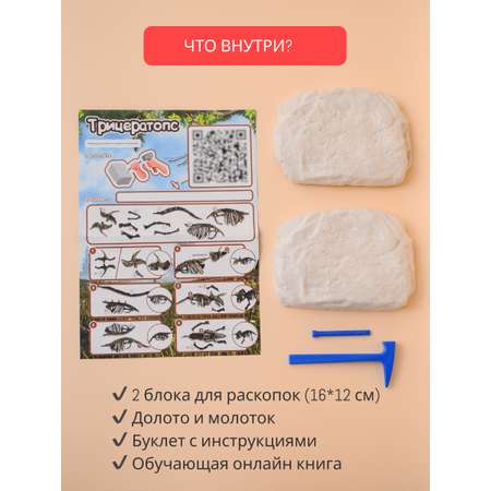 Набор для раскопок KONIK Science