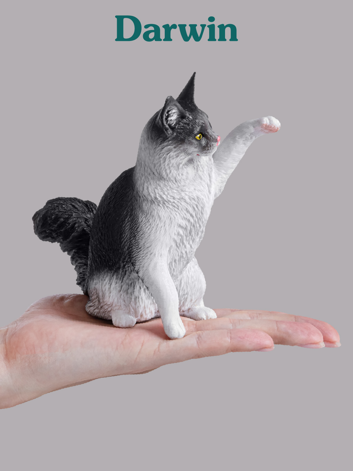 Фигурка DARWIN Кошка Мейн-кун - фото 2