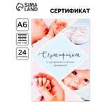 Сертификат ArtFox о профилактических прививках А6 24 страницы Мальчик