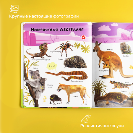 Говорящая книжка BertToys большая нажималка животные