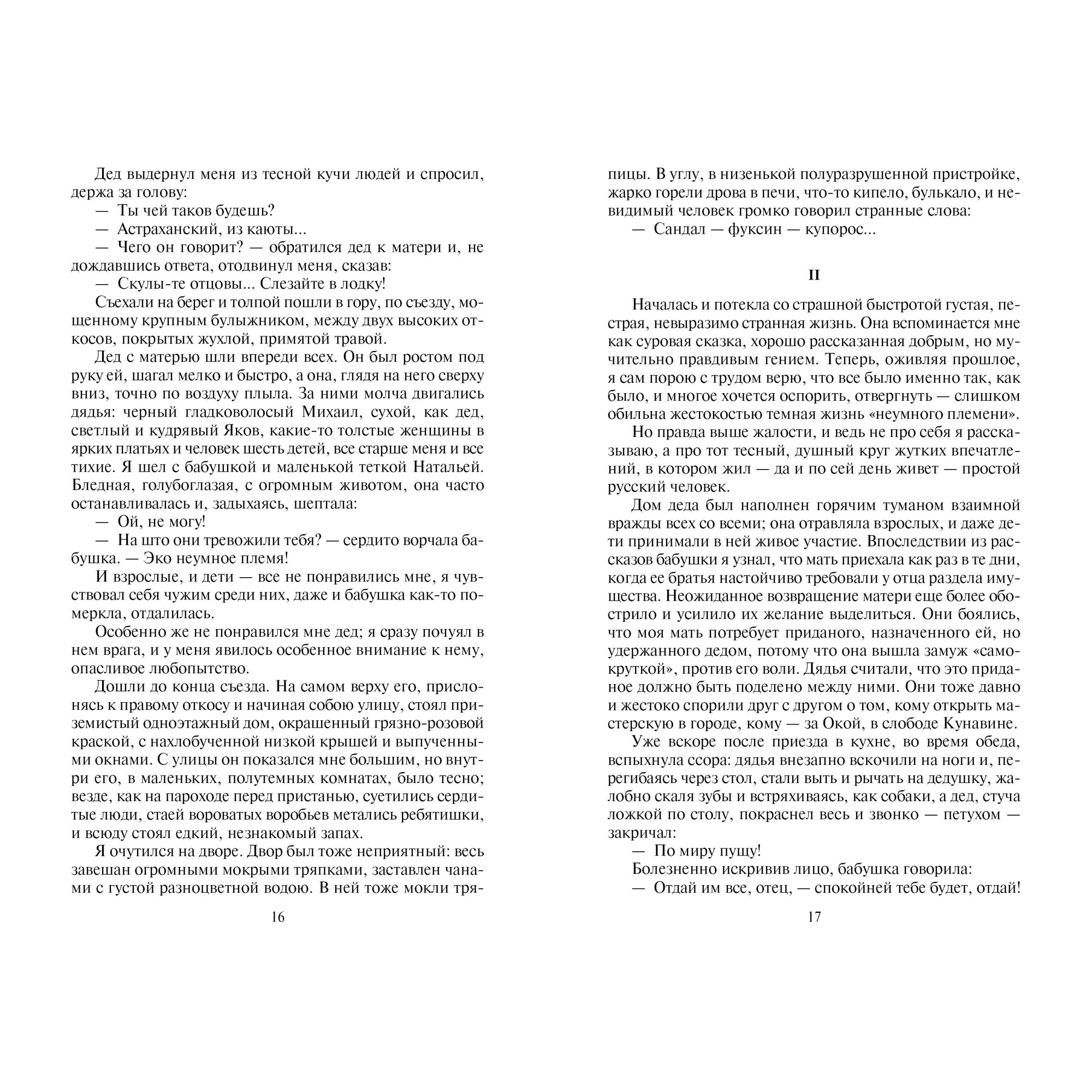 Книга АЗБУКА Песня о Соколе - фото 5