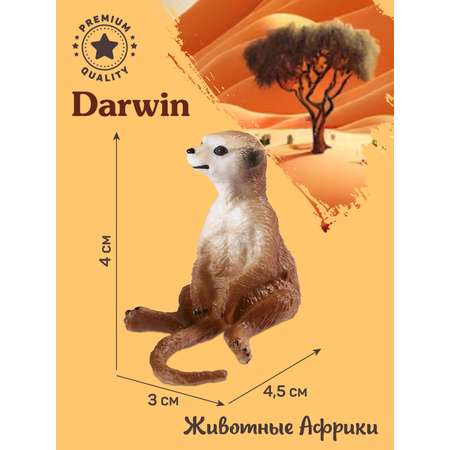 Фигурка DARWIN Животные Сурикат