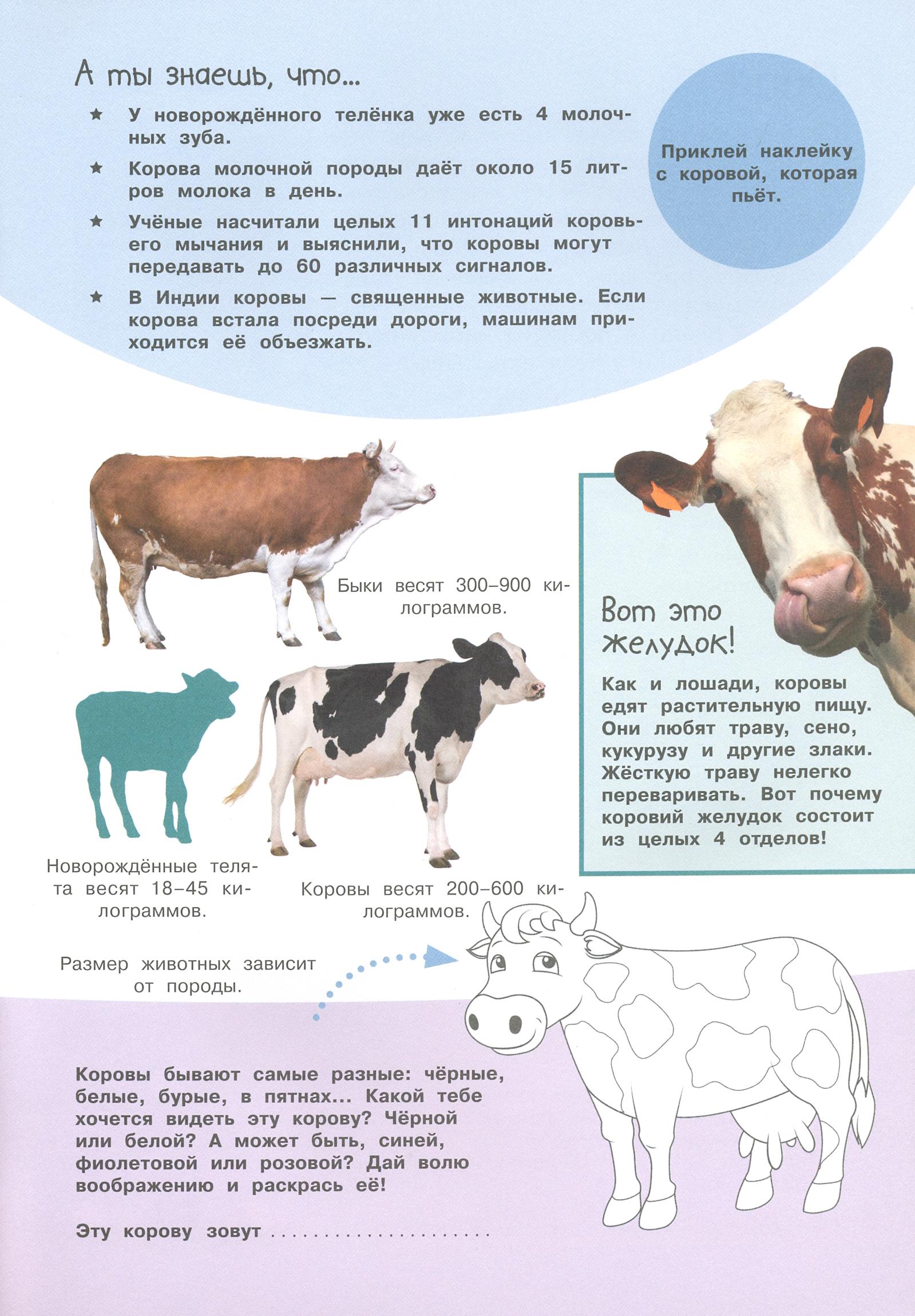 Книга Лабиринт Смотри и учись На ферме - фото 6