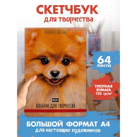 Альбом Проф-Пресс скетчбук. бумага 120 гр/м2. А4 64 лист. 1 шт.