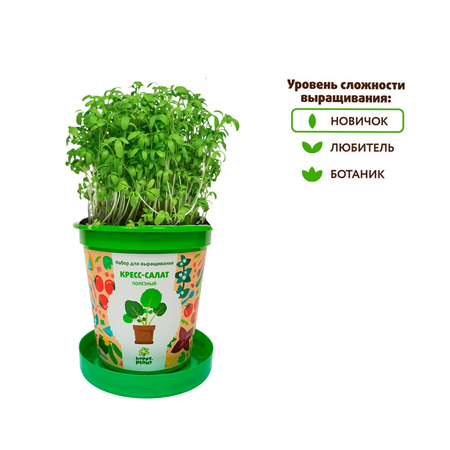 Набор для выращивания Happy Plant