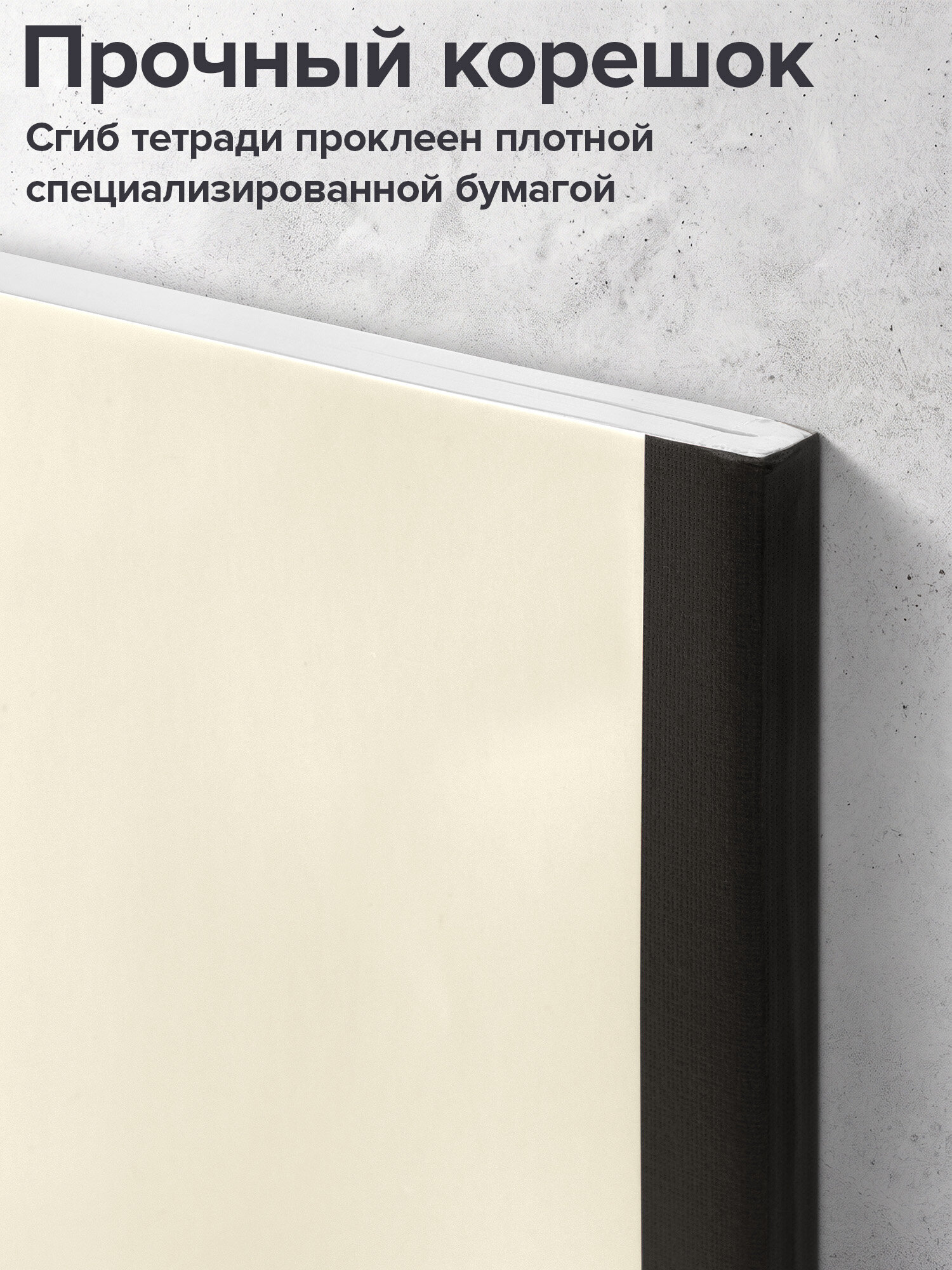 Тетрадь Brauberg клетка 96 лист. 2 шт. - фото 4