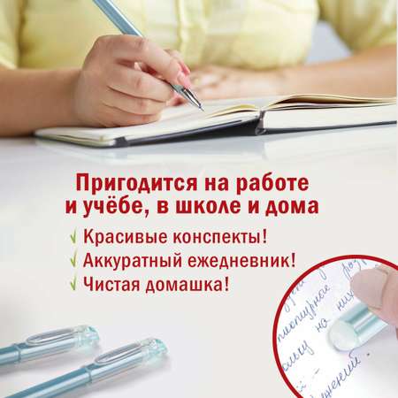Ручка со стираемыми чернилами Staff 12 шт.