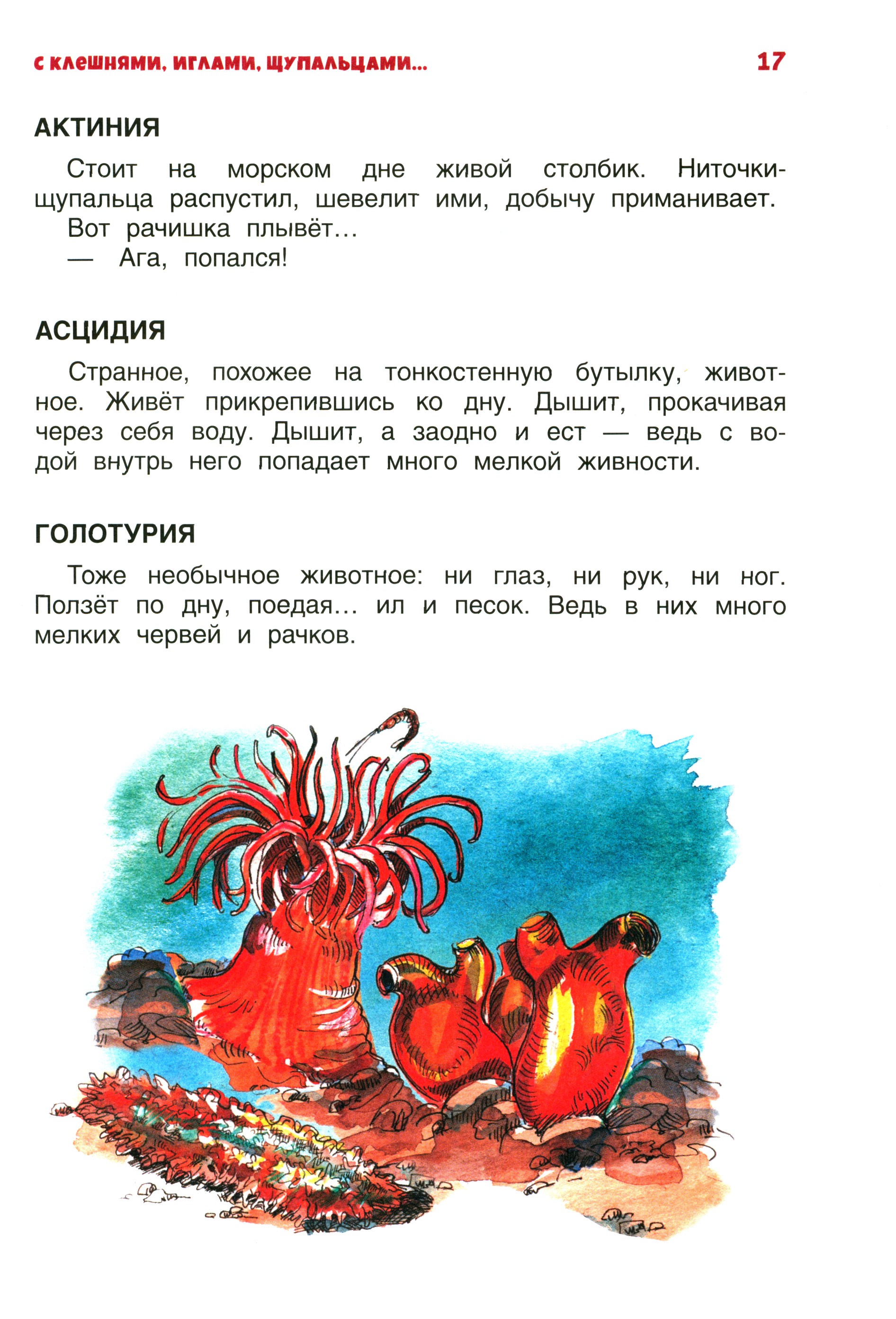 Книга Качели В мире дельфина и осьминога - фото 9