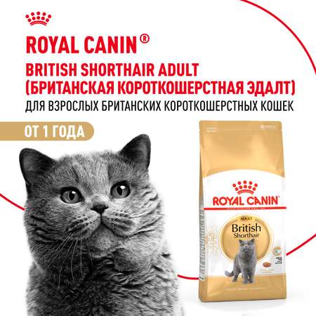 Корм сухой для кошек ROYAL CANIN British Shorthair 4кг британской короткошерстной породы
