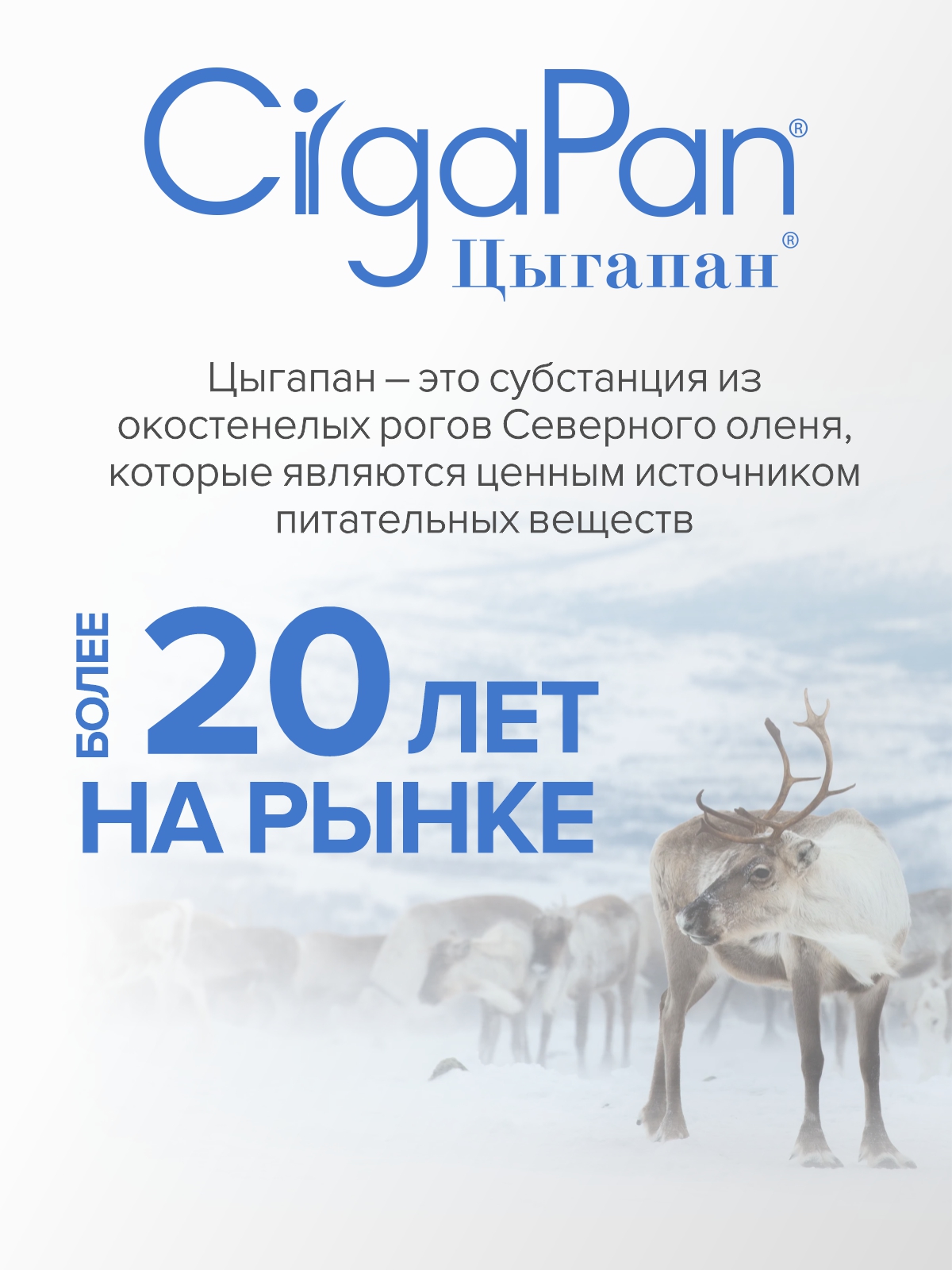 Цыгапан Диабет CigaPan Цыгапан витамины для диабетиков с инулином для снижения сахара в крови, 120 капсул - фото 10