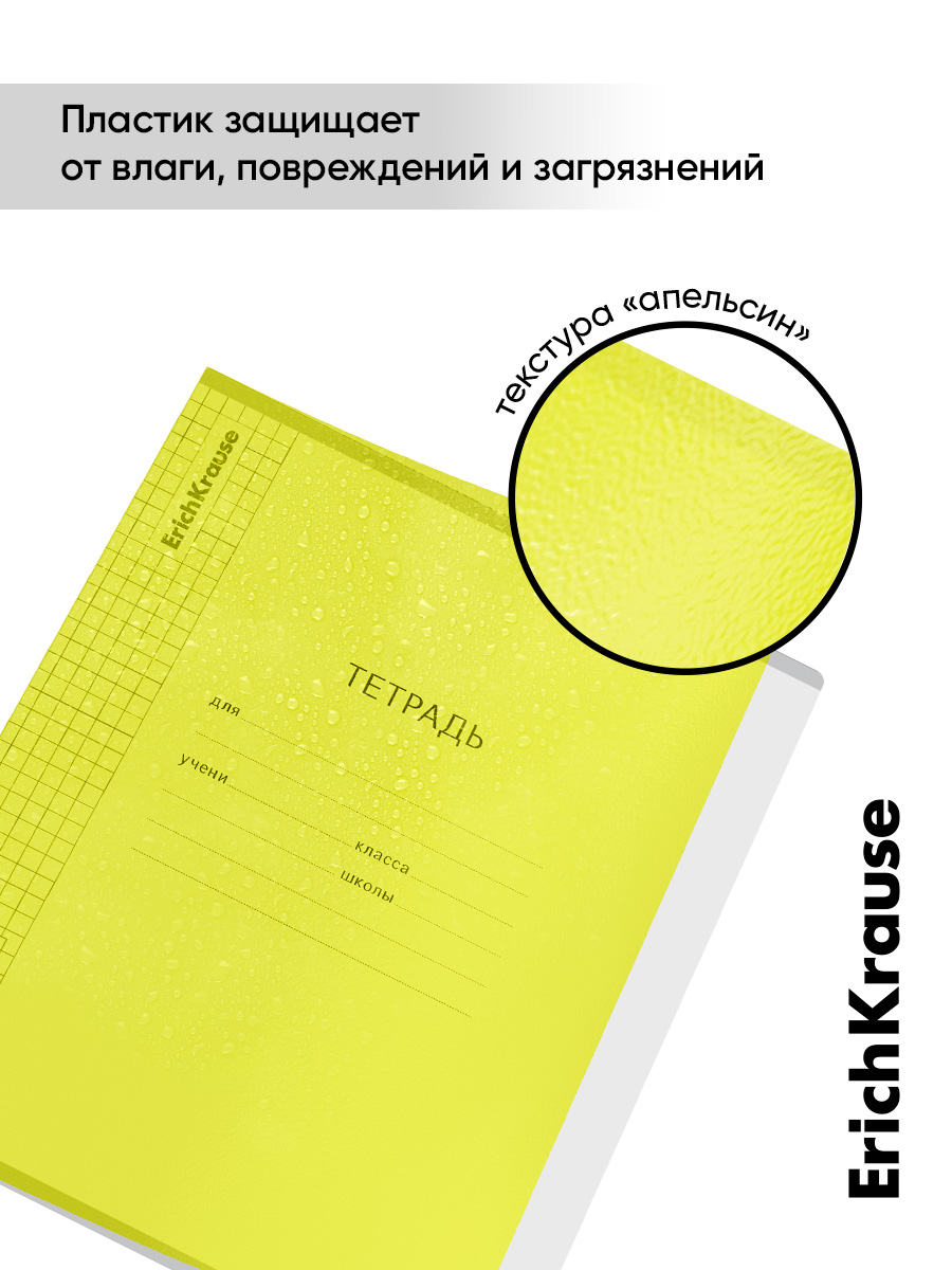 Тетрадь ErichKrause клетка 12 лист. 10 шт. - фото 5