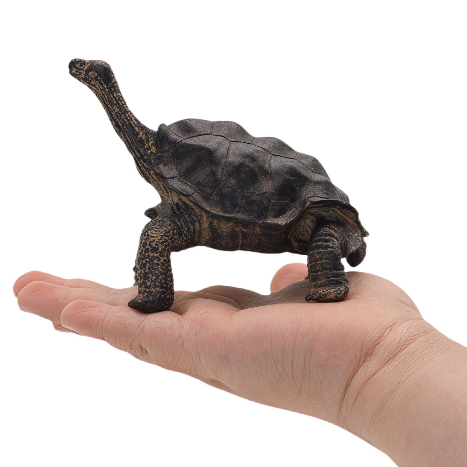Фигурка Детское Время Черепаха - фото 2