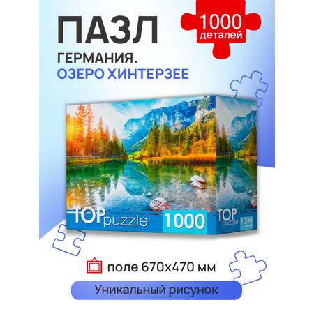 Пазл Рыжий кот