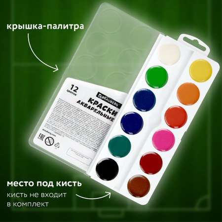 Краски акварель Brauberg 12 цв.