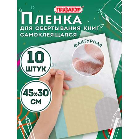 Обложка Пифагор 45 x 30 см 10 шт.