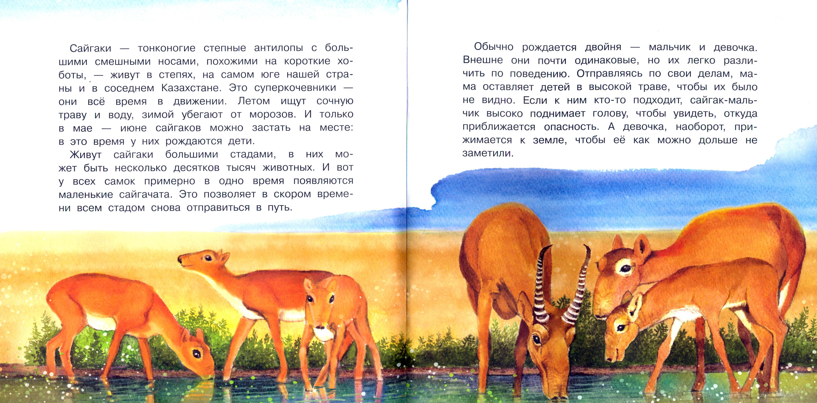 Книга Качели У кого какие детки - фото 4