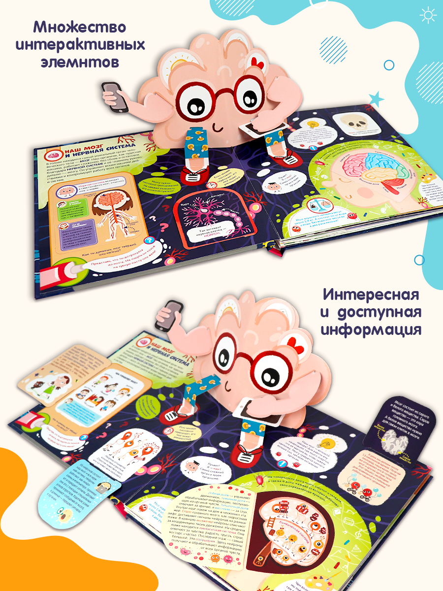 Книга Malamalama Мозг интерактивная энциклопедия - фото 5