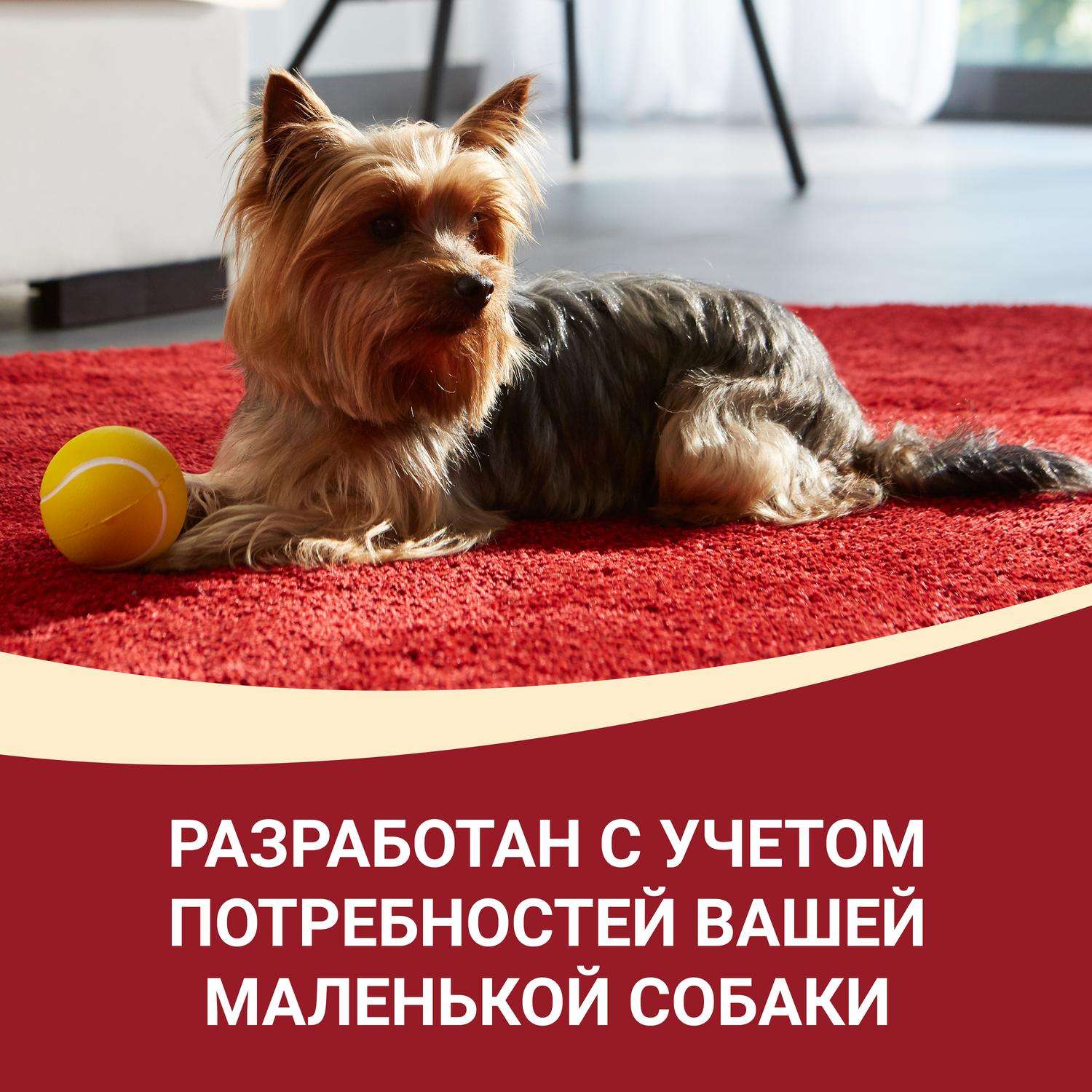 Корм для собак Purina One Mini Mini мелких и карликовых пород говядина-рис 1.5кг - фото 10