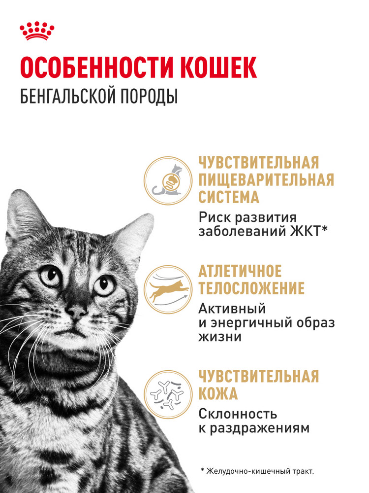 Корм сухой для кошек ROYAL CANIN 400г Бенгальских - фото 2