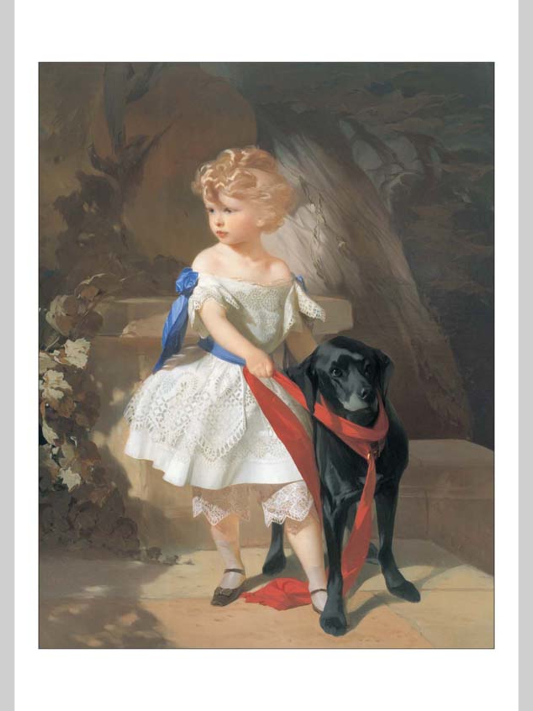 Набор открыток Белый город Домашние любимцы - фото 5