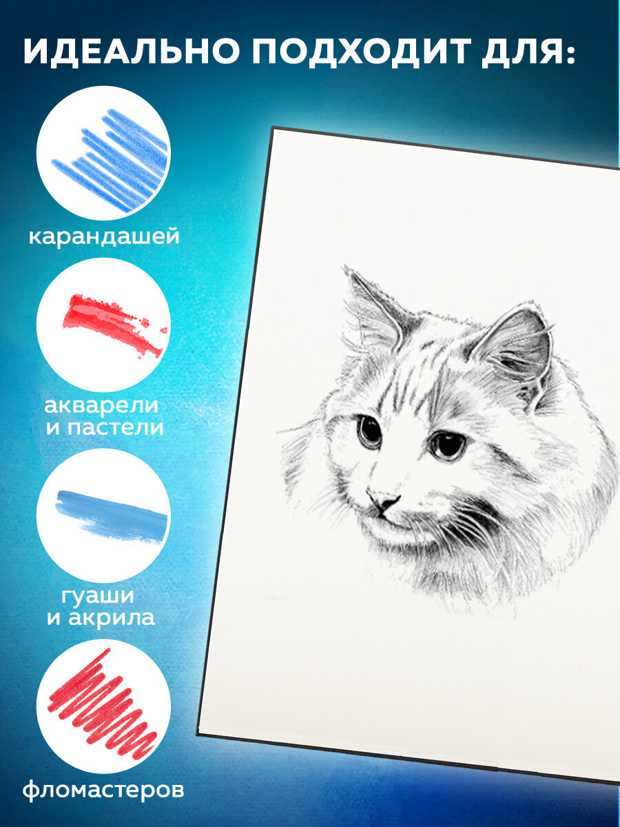 Скетчбук Brauberg 200х200 мм 60 лист. - фото 2