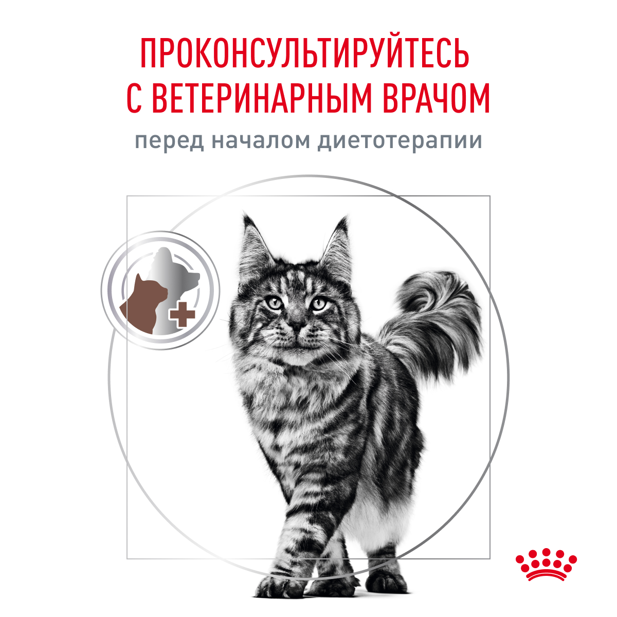 Корм для кошек ROYAL CANIN Gastrointestinal Hairball для профилактики образования волосяных комочков 350г - фото 9