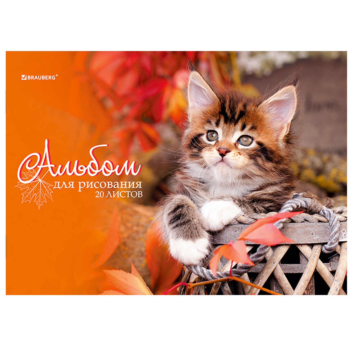 Альбом Brauberg А4 20 лист. 4 шт. - фото 8